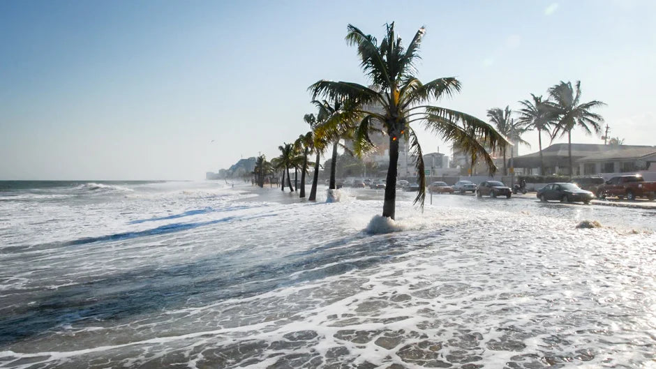 Rising sea levels threatening coastal freshwater supplies